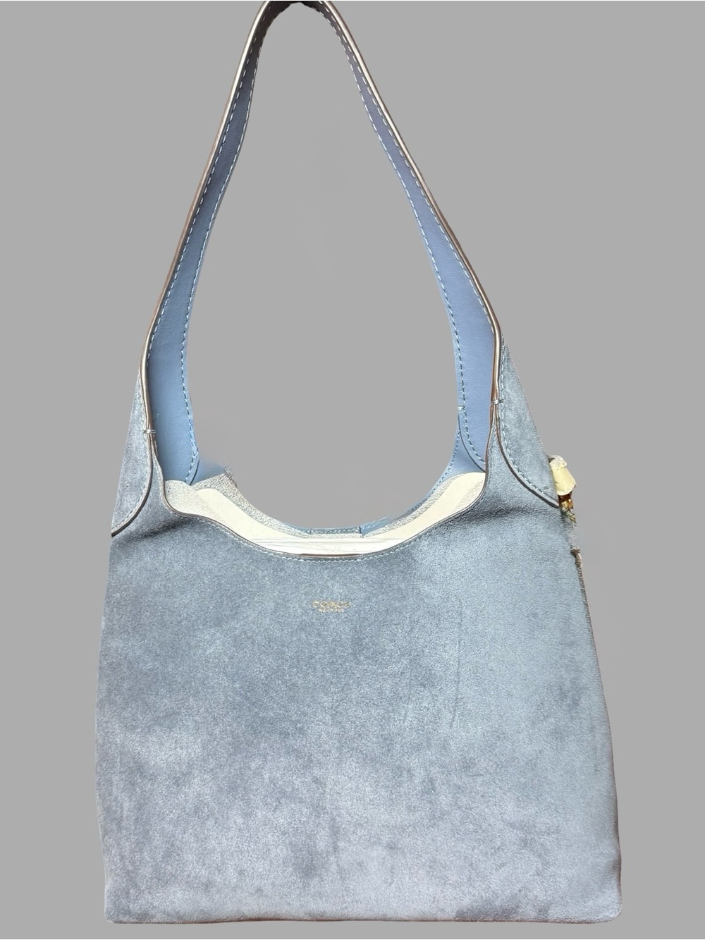 NWT Coach Brooklyn Shoulder Bag 28 – Minimalist Hobo Bag (Style CW637)